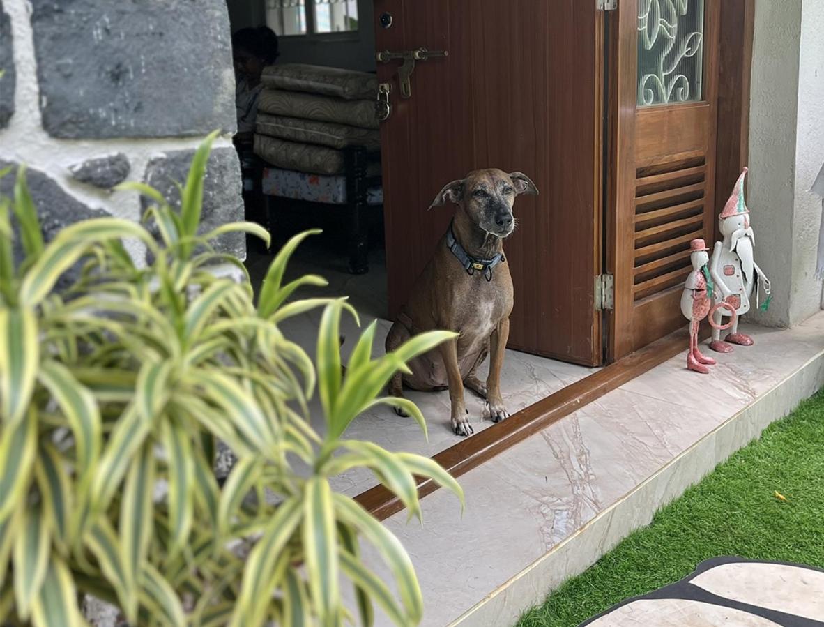 Angel House -Your Private Pet Friendly Haven Lonavala Exterior photo